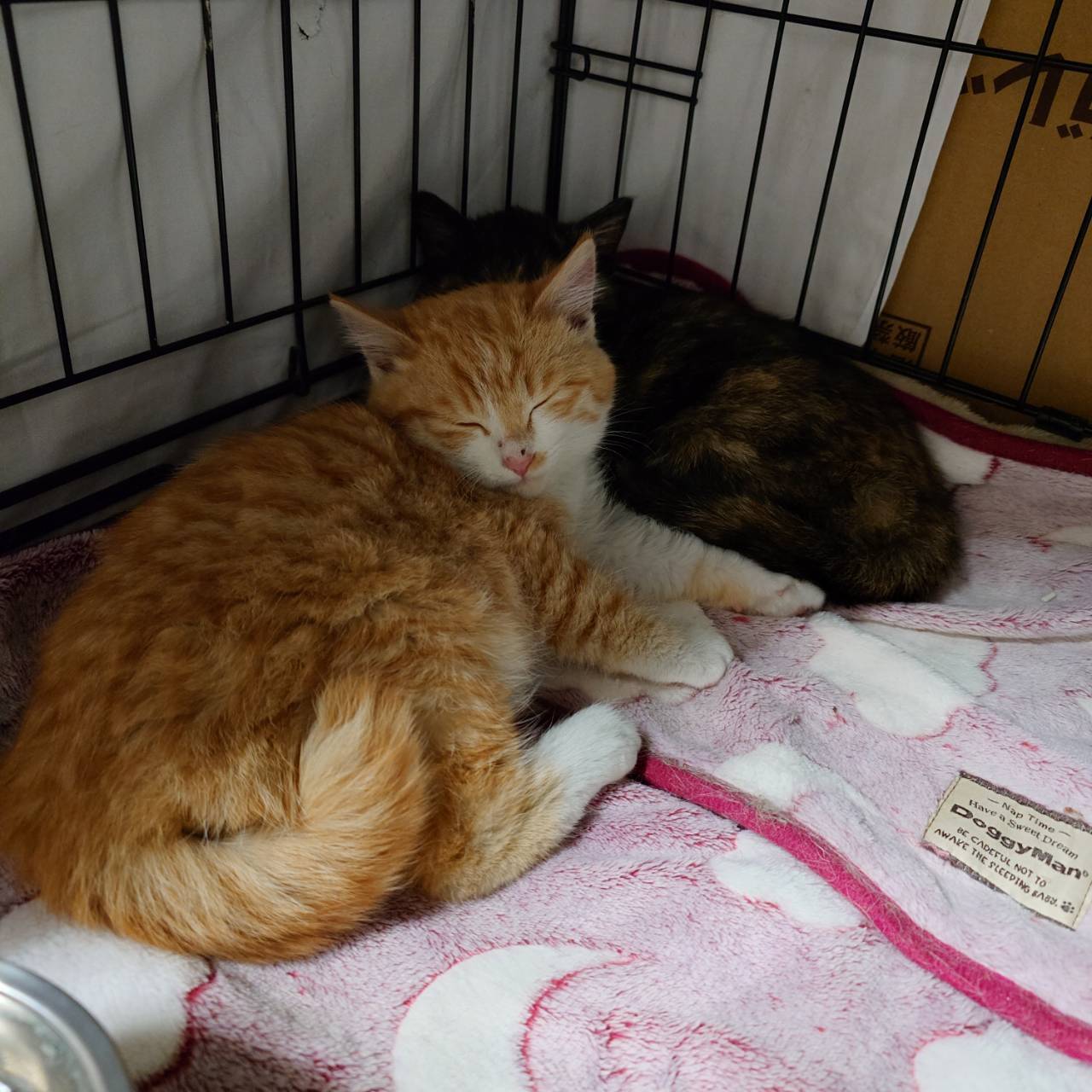 みっちゃん＆ちゃあちゃん