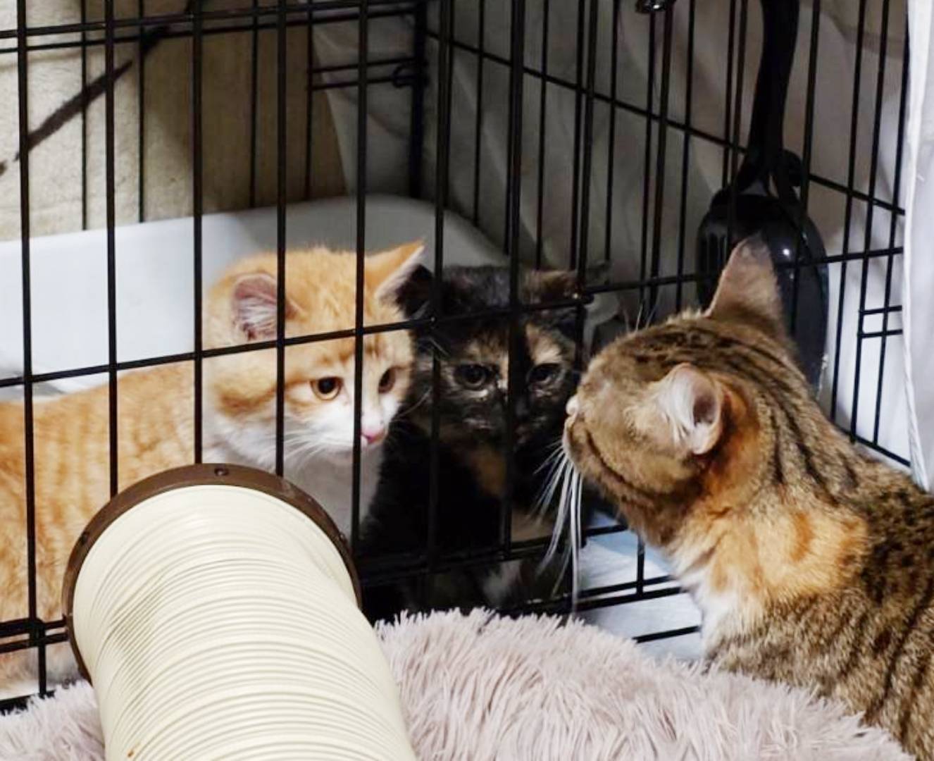 みっちゃん＆ちゃあちゃん