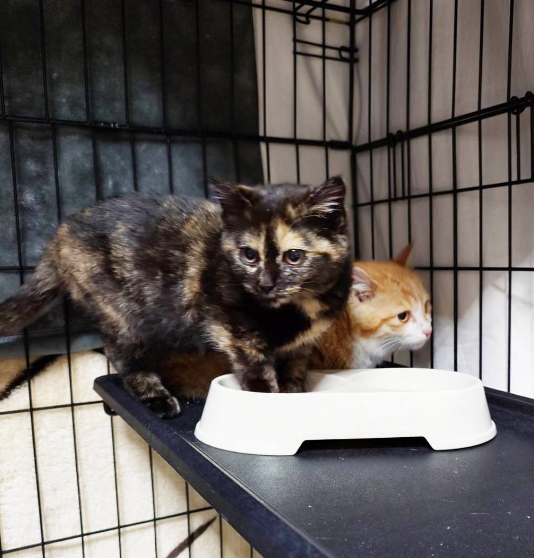 みっちゃん＆ちゃあちゃん