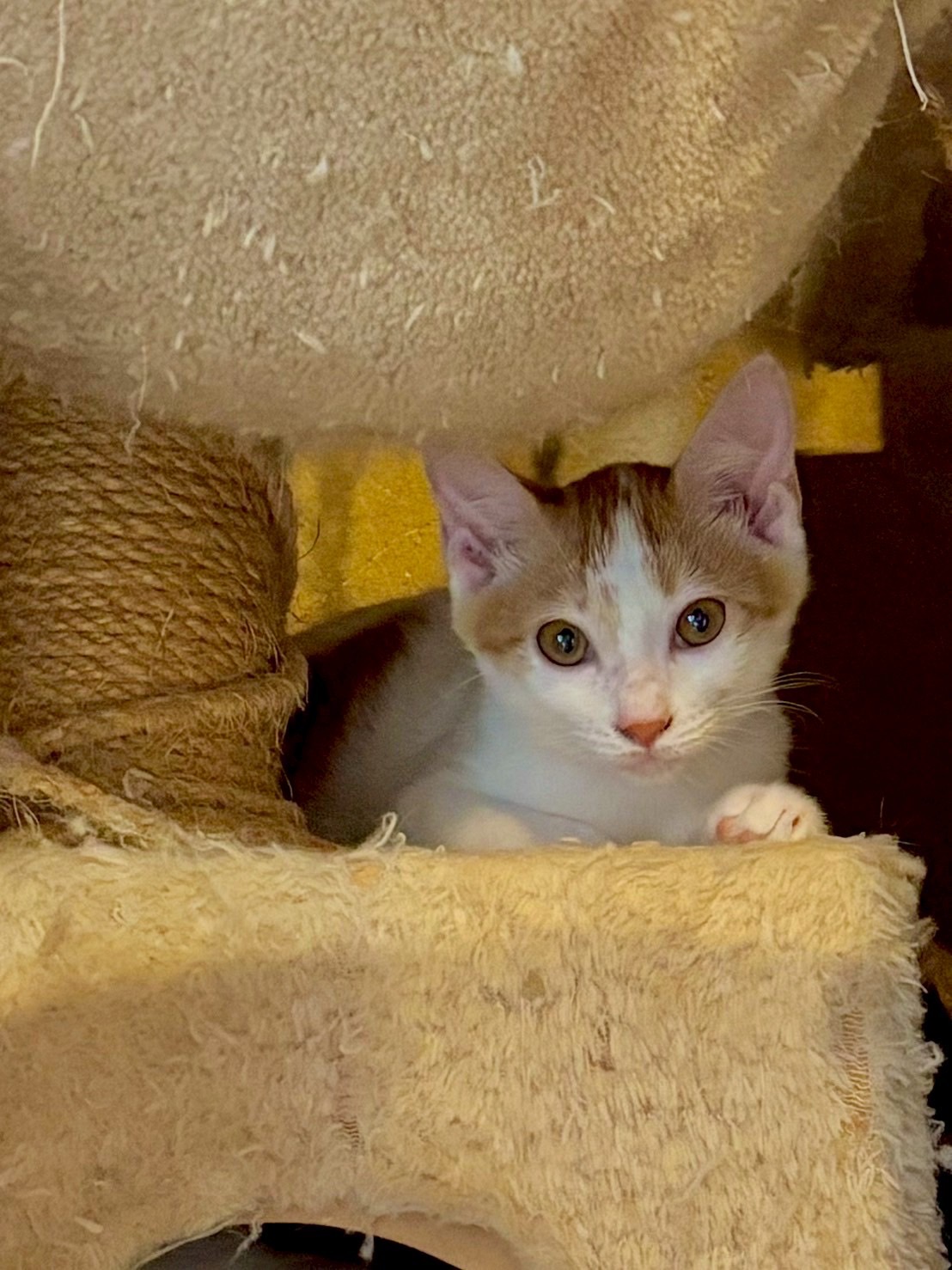 [341] 空くん・陽菜ちゃん