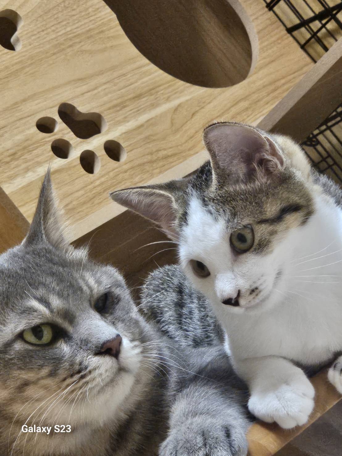 No.313ミロくんと