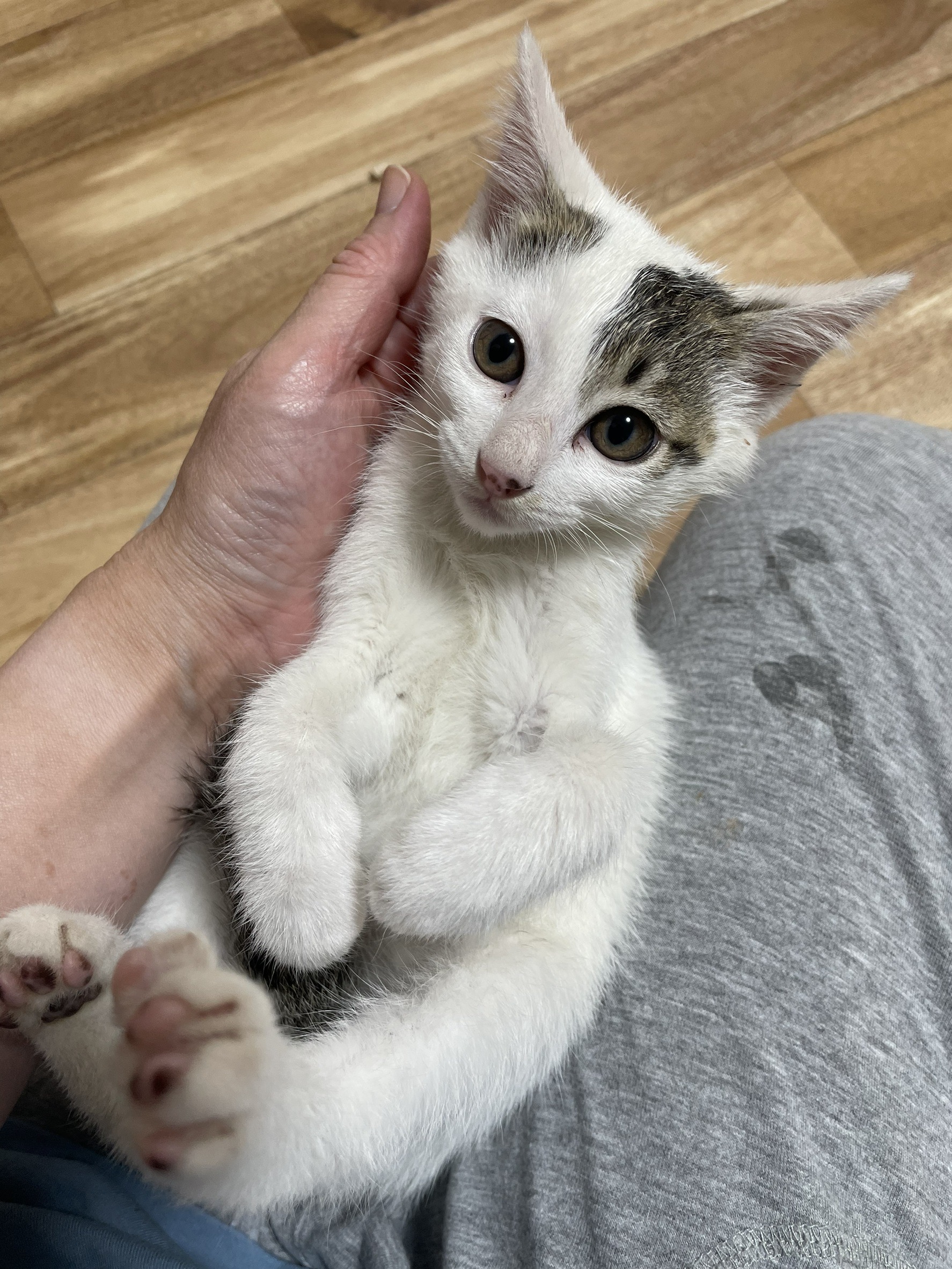 チューちゃん♀