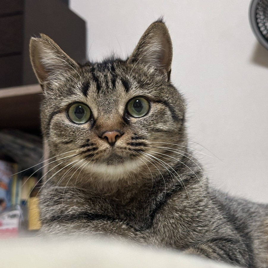 ちゅらりちゃん