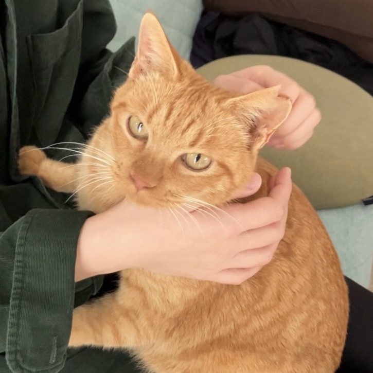 コルク＠安曇野市