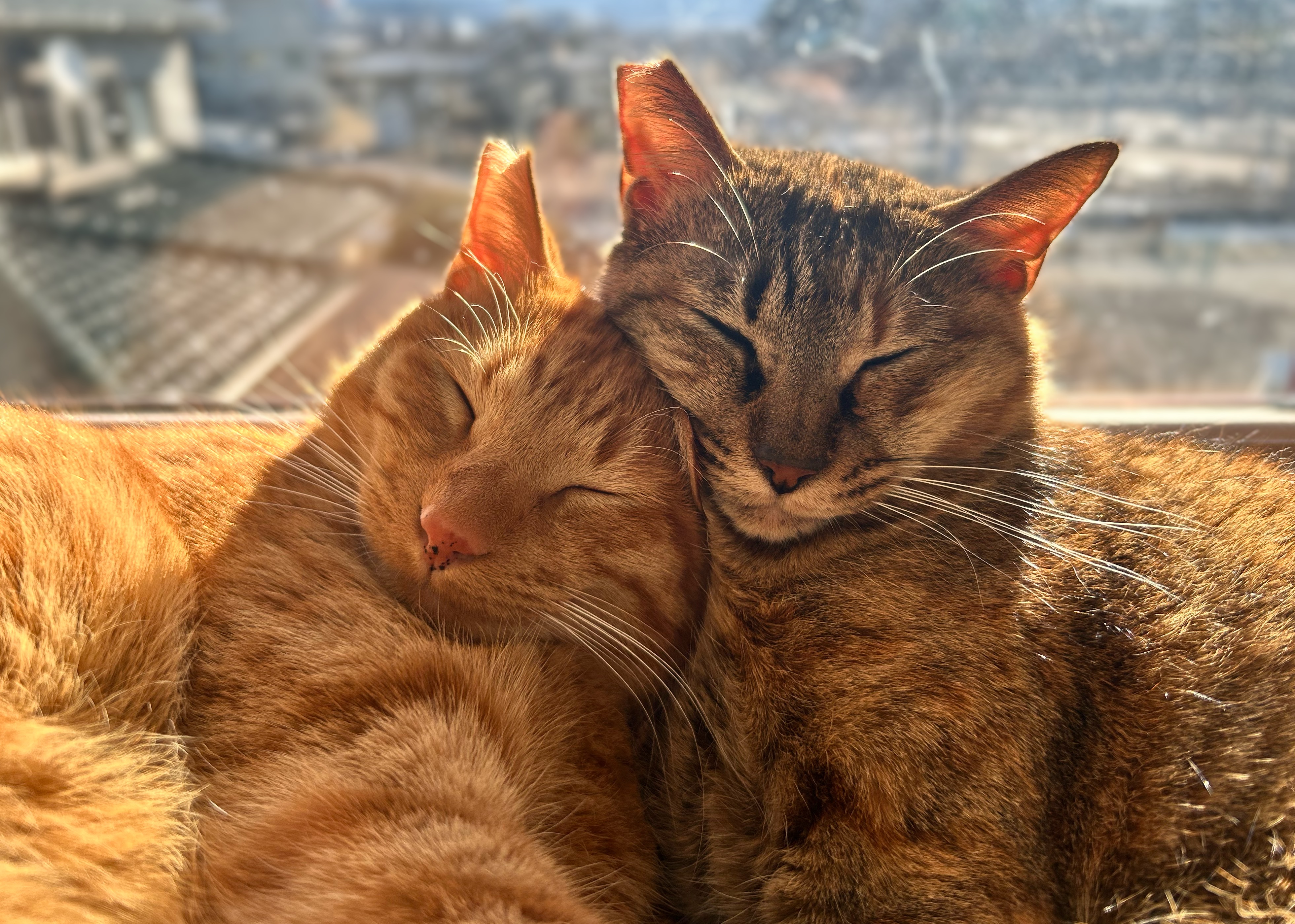 No.316のメルちゃんと