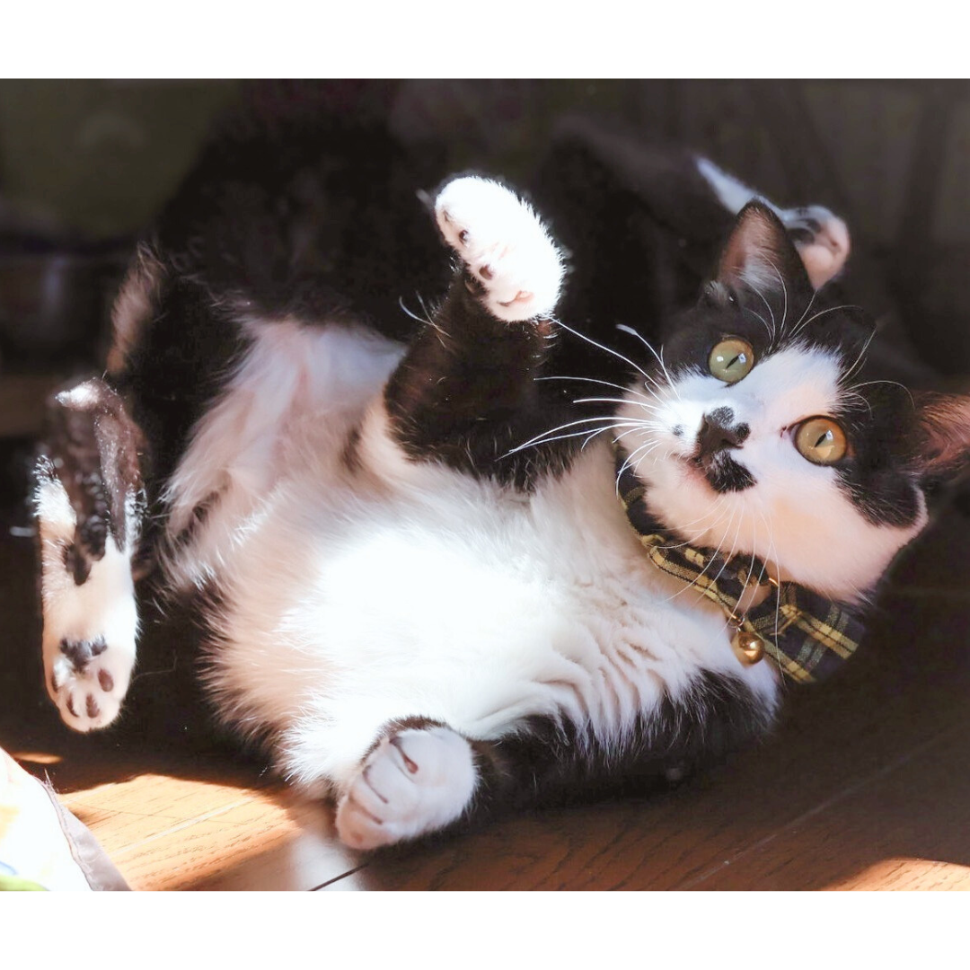 ハート＠塩尻市