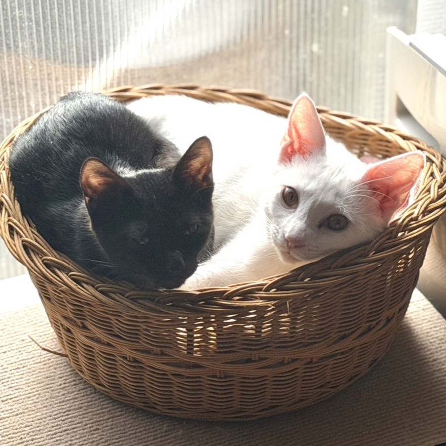 こだま♂＆陽菜♀＠木曽町