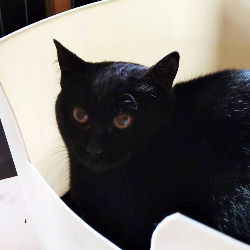 かっちゃん＠塩尻市