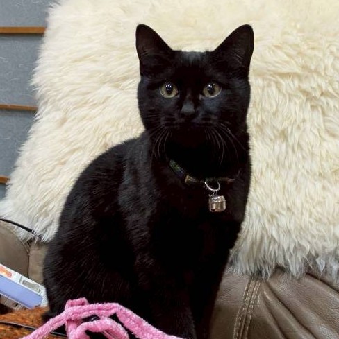 かっちゃん＠塩尻市