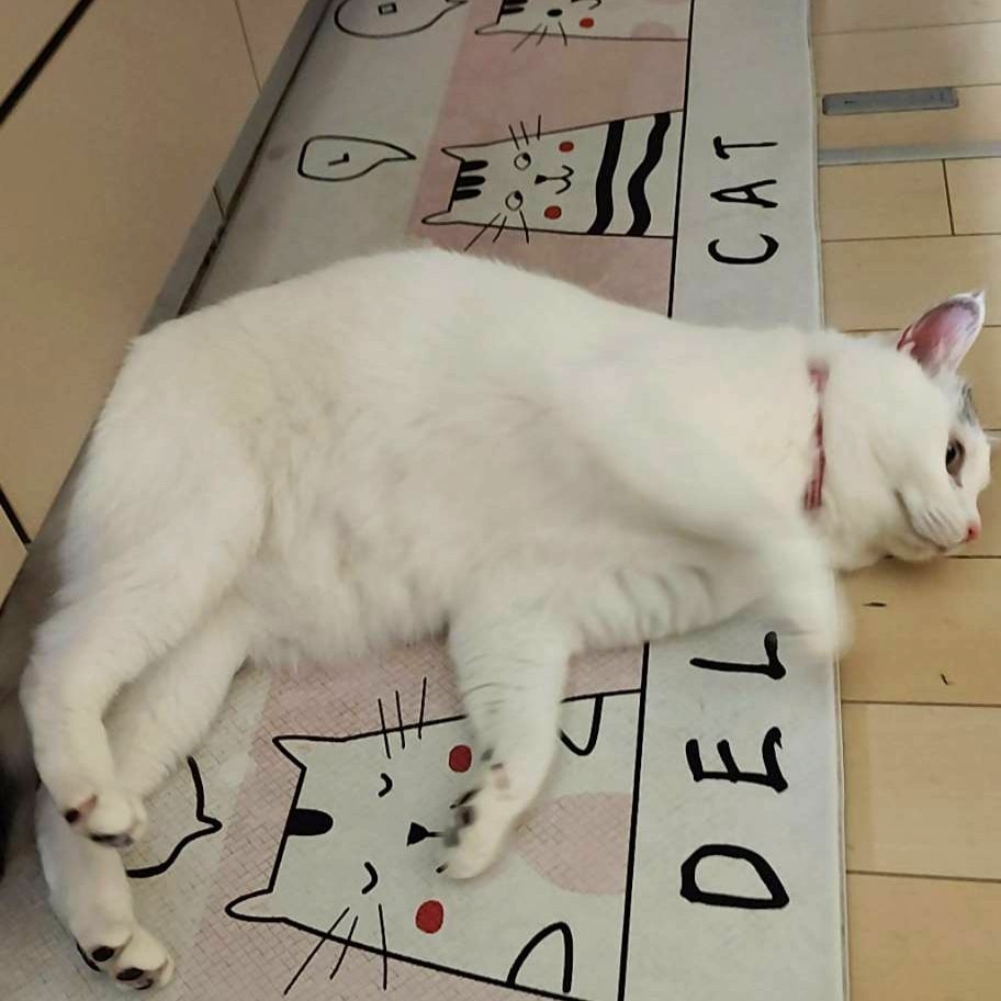 みぞれ＠塩尻市