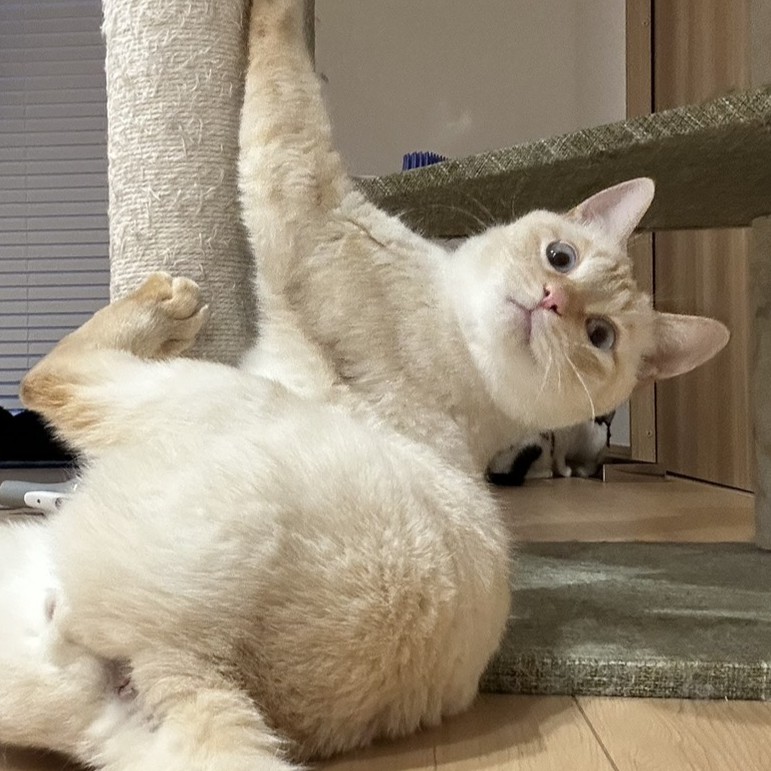 りくあ＠塩尻市北小野O