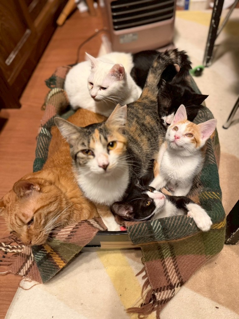 他にもいっぱいいます