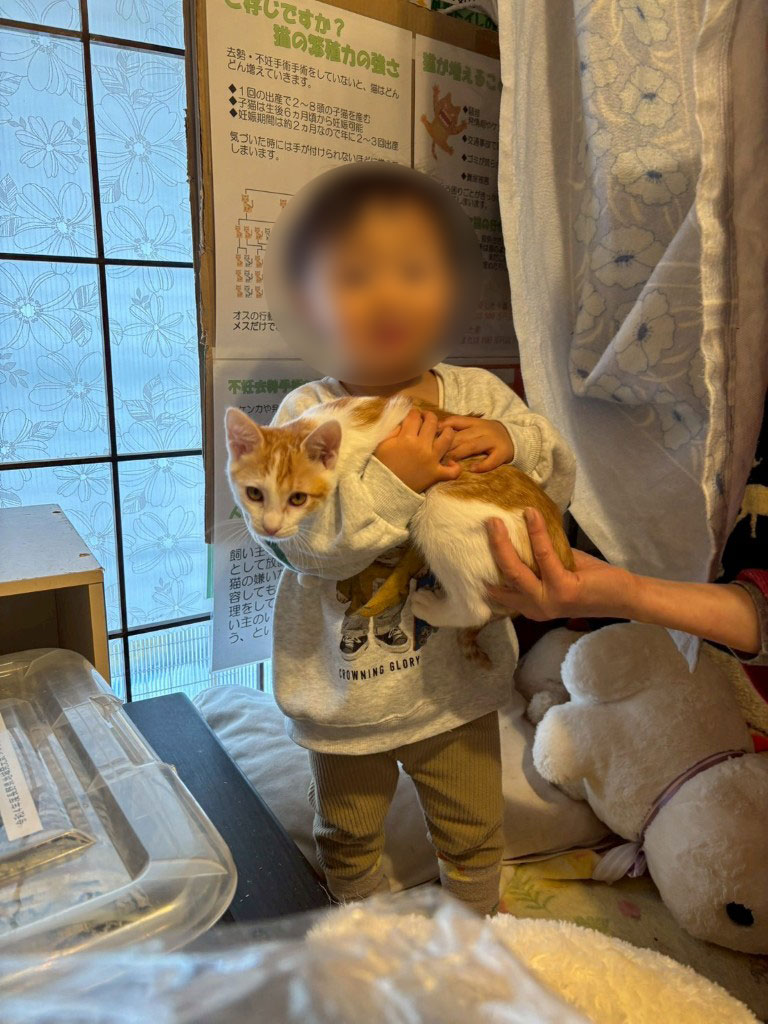 だっこも平気なレモン