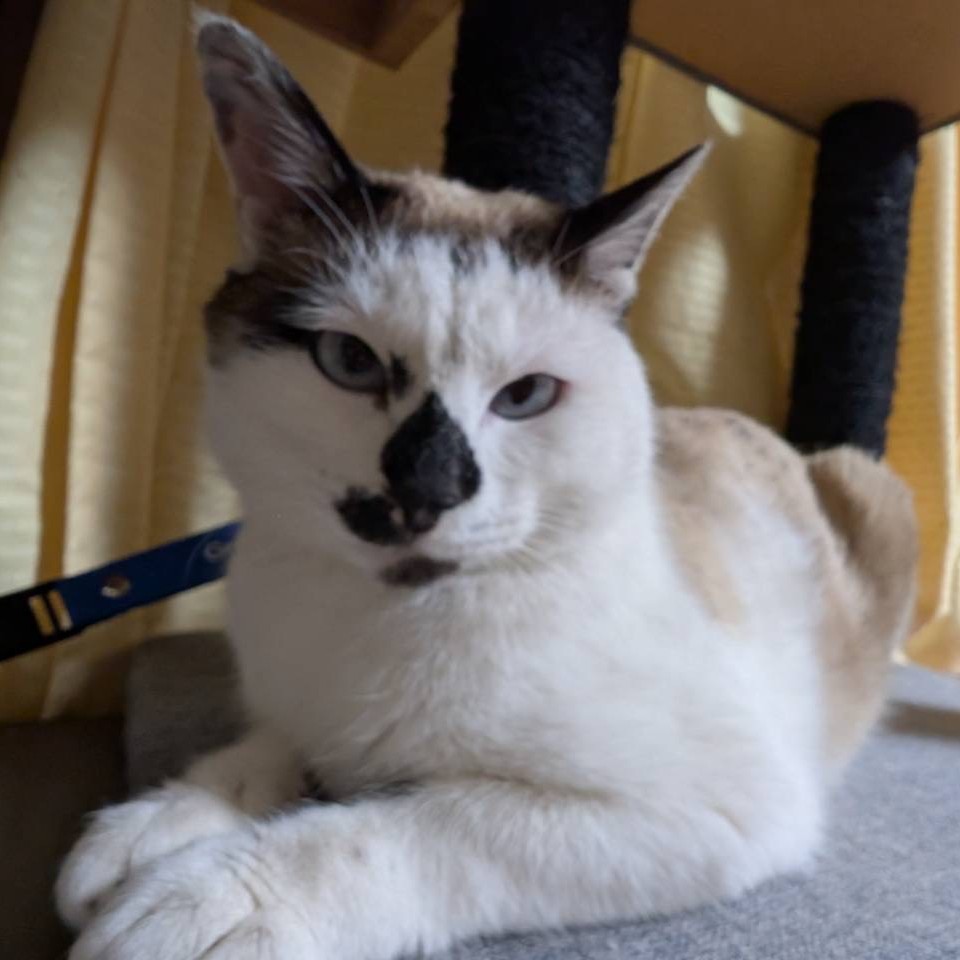 もこ＠松本市里山辺T