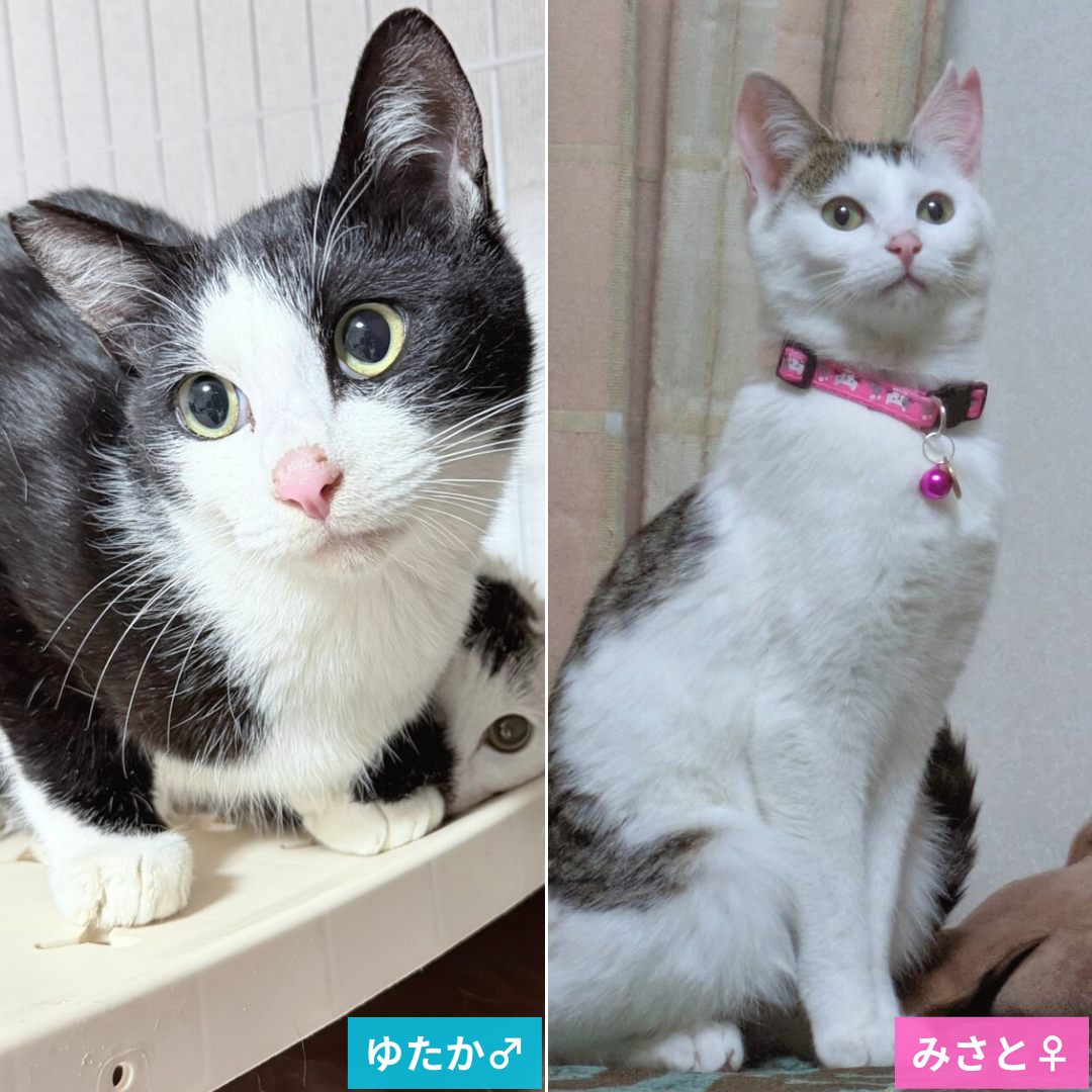 ゆたかくん・みさとちゃん＠松本市蟻ヶ崎Ｋ