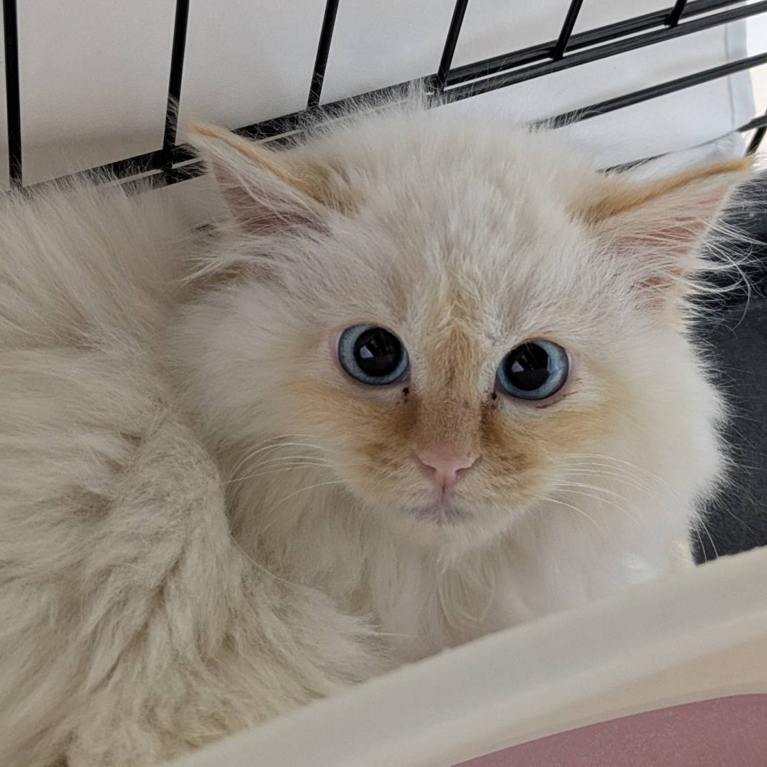 ミシェル＠塩尻市