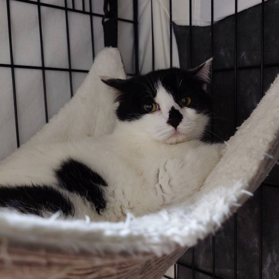 うしこ＠松本市