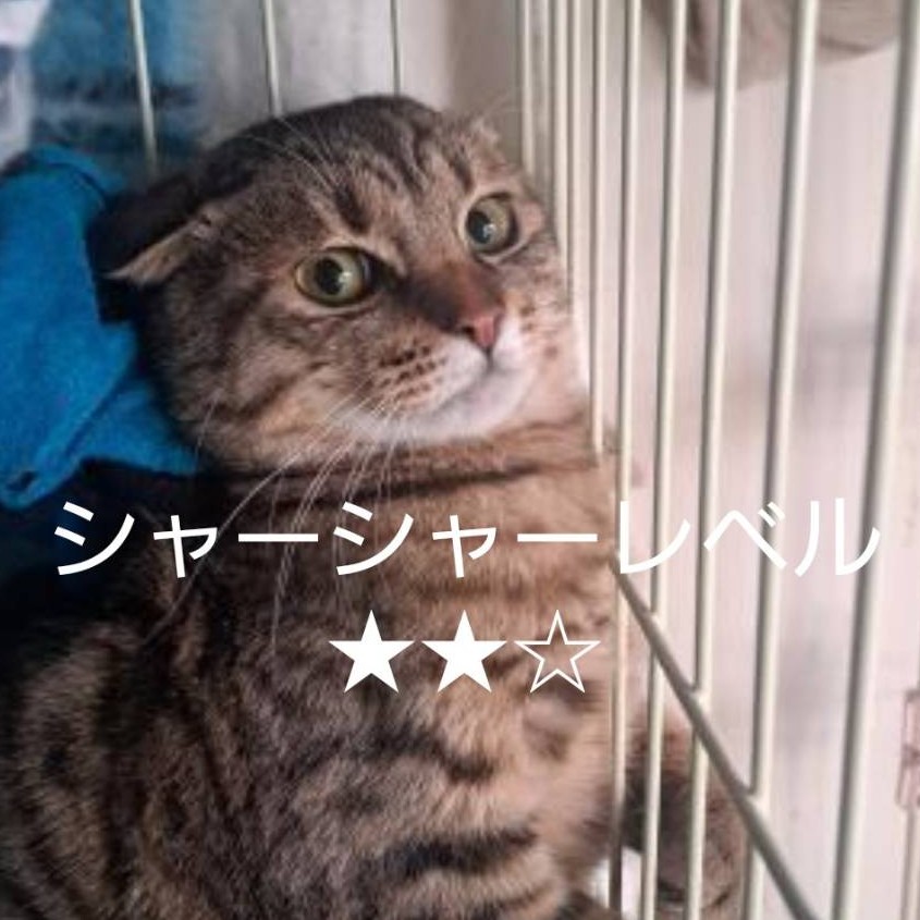 いくら＠千曲市