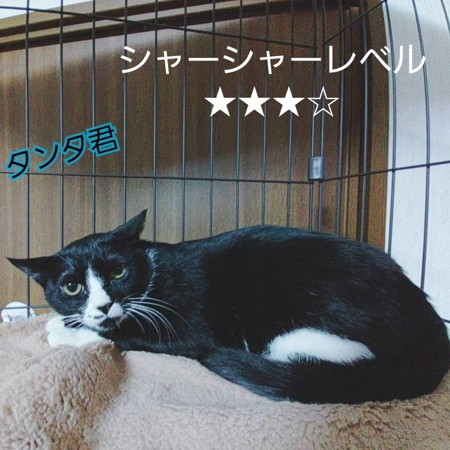 タンタ＠千曲市