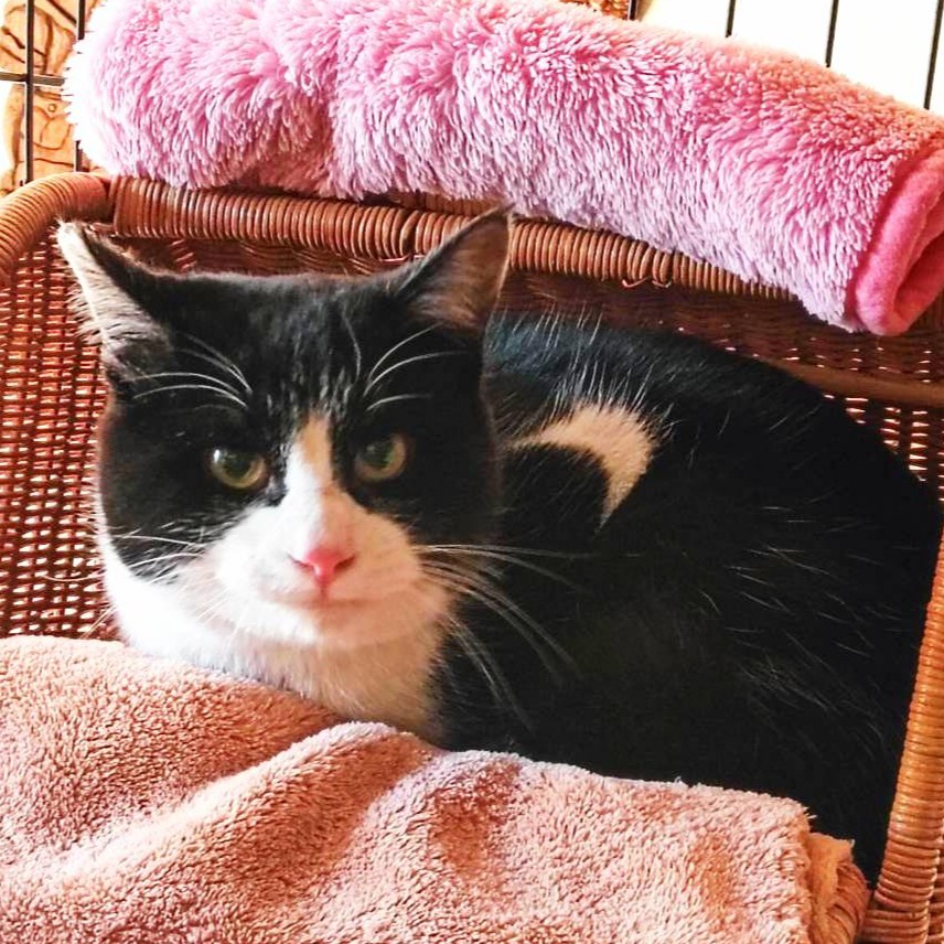 さんちゃん＠塩尻市