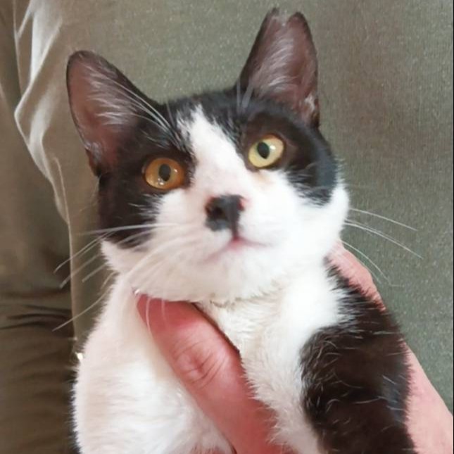 すもも＠塩尻市