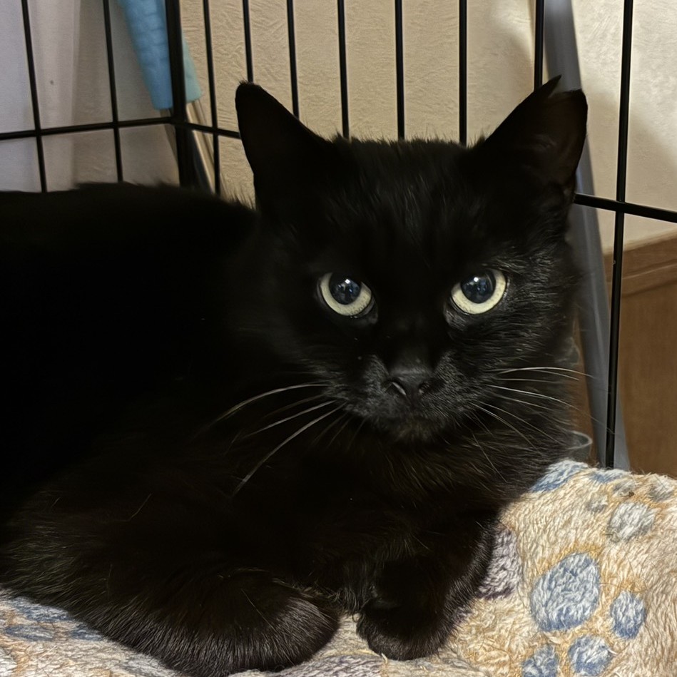 ぴっぴ＠塩尻市