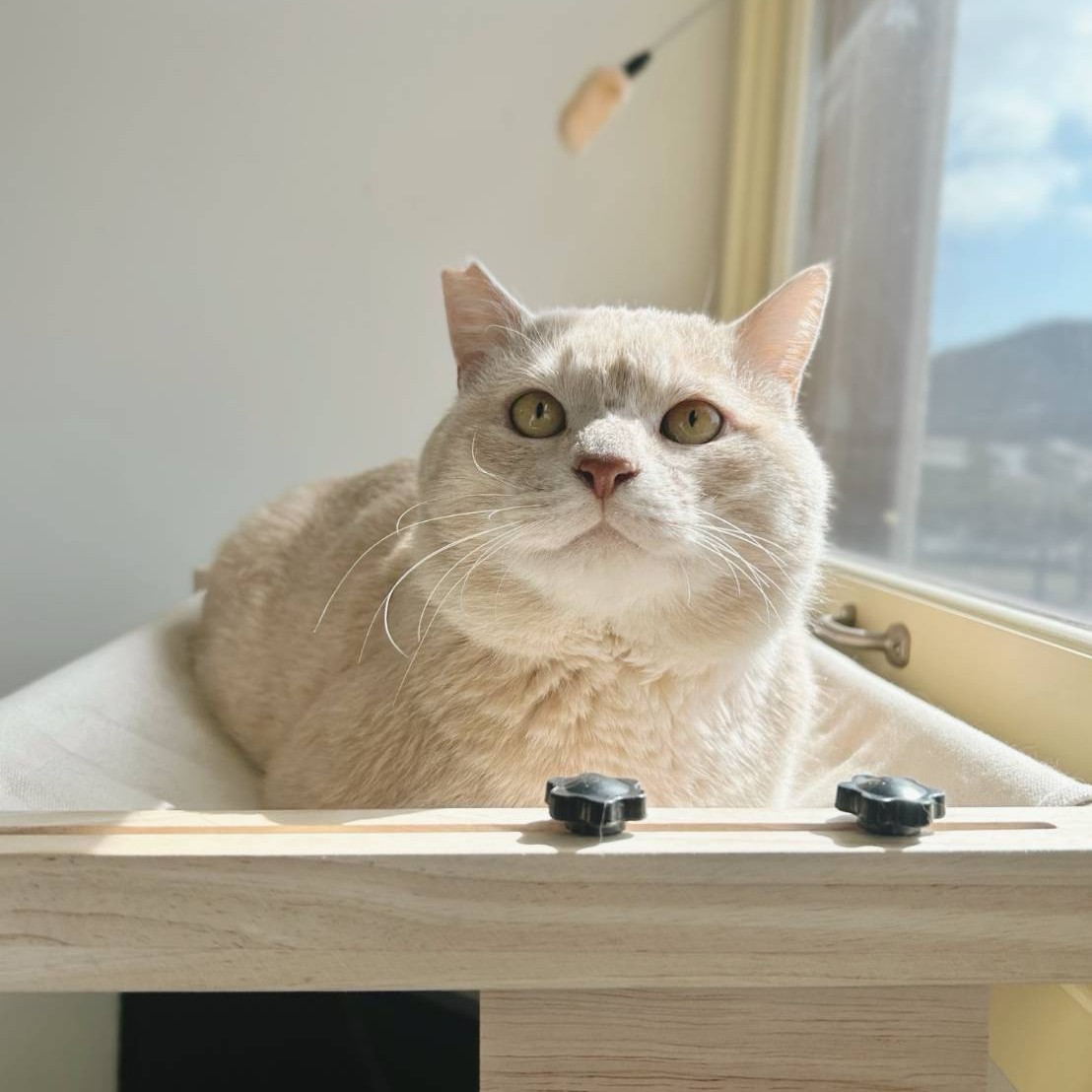 ぼんちゃん＠塩尻市