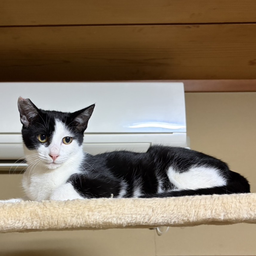 チッチ＠松本市里山辺N