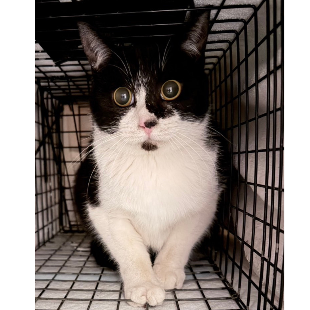 エド＠松本市里山辺N