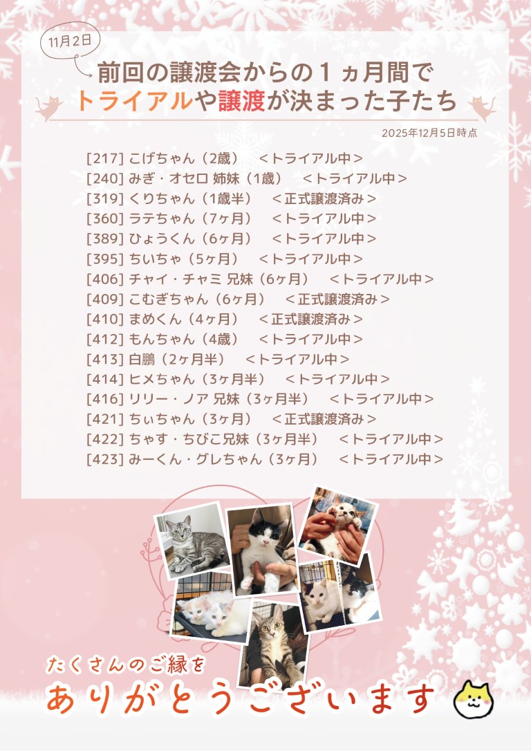 2026/1/4(日) 保護猫譲渡会＠カインズ塩尻店＠塩尻市