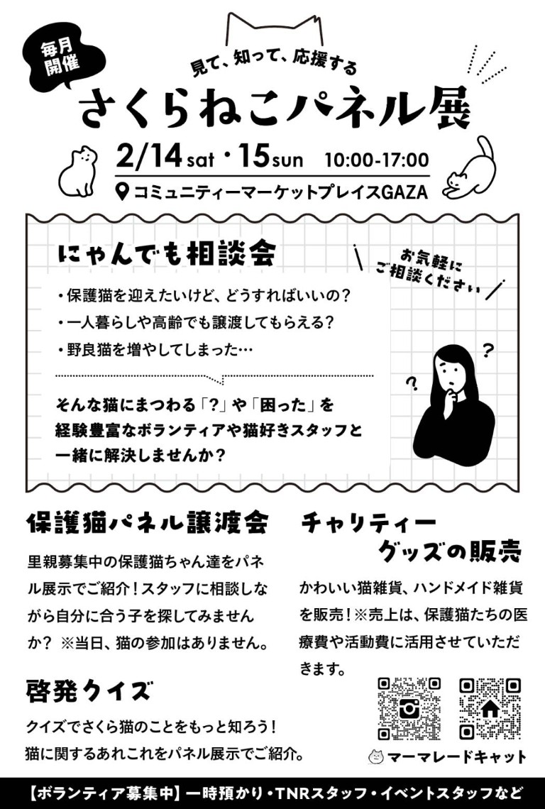 保護ねこパネル展＠塩尻市
